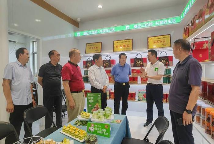 河南电商协会 河南电商协会是干什么的