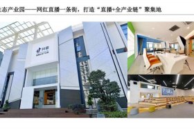 海南跨境电商公共服务平台管理系统 - 海南跨境电商服务中心