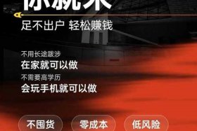 什么电商平台不用发货就能赚钱，什么电商平台不用发货就能赚钱的