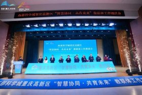 全国电商教指委，全国电子商务教育教学指导委员会