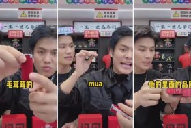 疯狂小杨哥背后有团队吗；疯狂小杨哥是团队吗