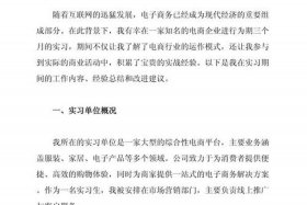 电商数据化建设 - 电商数据化建设心得体会