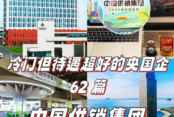 中国供销社电子商务有限公司 中国供销社电子商务有限公司是国企吗