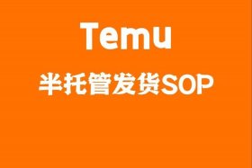 temu电商平台是哪个国家的（temups）