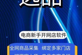 网上电商是什么意思 - 网上电商是什么意思啊