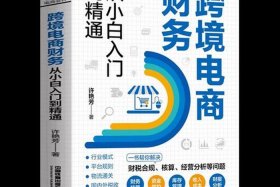 怎么做跨境电商账务流程及步骤，跨境电商的账务怎么做