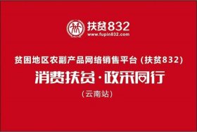 消费扶贫电商平台；消费扶贫电商平台有哪些