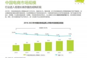 中国电商海外爆火；中国电商海外爆火了吗