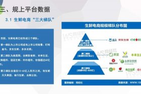 生鲜电商平台 - 生鲜电商平台发展现状