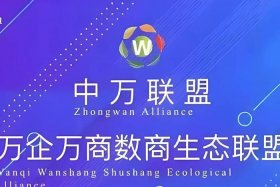 中国电商联盟是什么（中国电商联盟是什么机构）