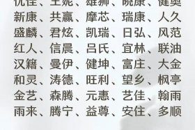 电商运营公司推荐；电商运营公司名字起名推荐