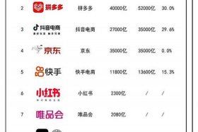 国内的电商平台软件提供商 国内的电商平台软件提供商排名