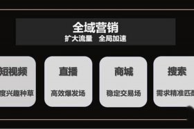 全域兴趣电商平台，全域兴趣电商平台是什么