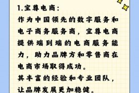 代运营电商公司要做的事 - 代运营电商公司要做的事情