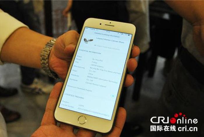 小笨鸟跨境电商平台缺点,小笨鸟网络跨境平台 小笨鸟跨境电商平台缺点,小笨鸟网络跨境平台