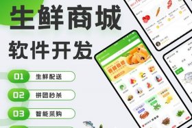 电商系统开发厂家定制（开发定制电商平台）