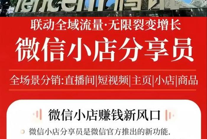 微信电商平台排名(微信电商平台排名榜) 微信电商平台排名(微信电商平台排名榜)