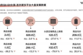 服装电商行业的现状与前景 - 服装电商行业的现状与前景怎么写