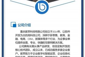 电商网站开发定制、电商网站开发定制怎么做