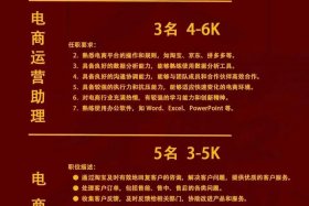 招聘电商运营人才；招聘电商运营人才要求