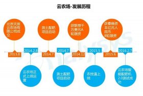 农村电商发展历程，农村电商发展过程