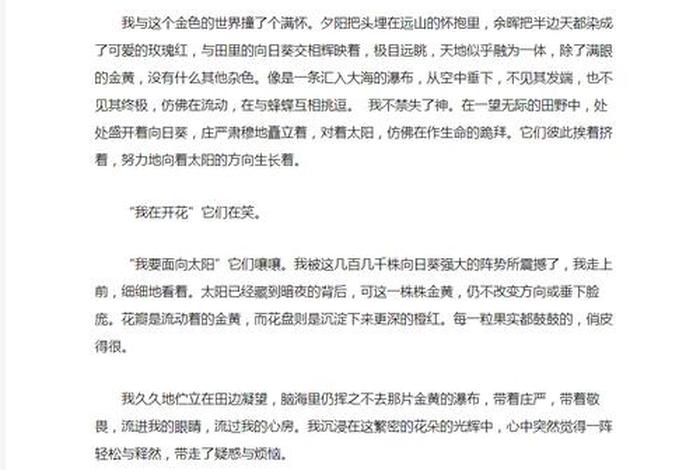 电商作文600字；电商作文800字