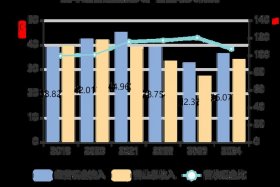 南极电商股票是做什么的、南极电商股票是做什么的呀