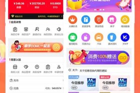 电商分销加盟视频；电商分销加盟视频大全