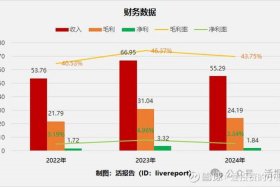 电商技术股一般占多少股份（电商技术股一般占多少股份合适）