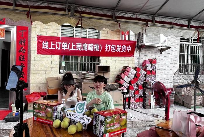 桃子电商代理、电商桃子平台 桃子电商代理、电商桃子平台