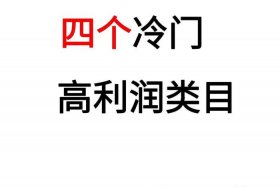 电商做什么赚钱，电商现在做什么类目最赚钱