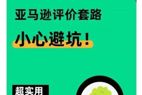 做跨境电商亏了25万不想干了；跨境电商垫付了10万还是没钱