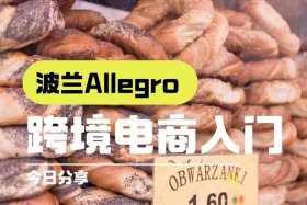 波兰电商平台allegro中国卖家怎样发货；波兰电商allegro中国卖家多吗