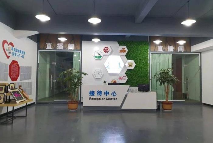 电商孵化中心实际建设用途 - 电商孵化中心实际建设用途怎么写