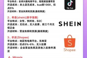 怎么开电商创业；怎么开电商创业平台