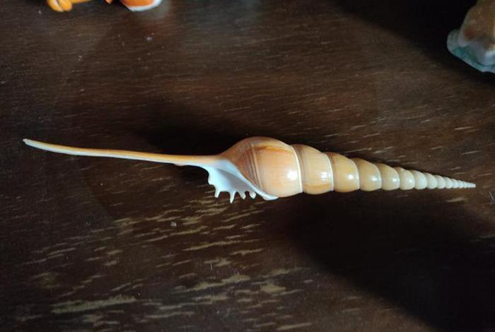 海螺电商平台怎么截长图 - 海螺电商平台进不去怎么办