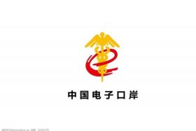 中国出口电子口岸、中国进出口电子口岸