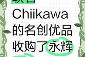 奢侈品电商创单什么意思 奢侈品电商创单什么意思啊