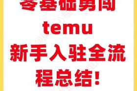 temu跨境电商入驻流程及费用详解 - target跨境电商