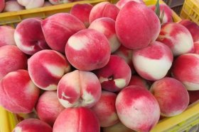 电商卖桃子平台、电商卖桃子平台怎么样