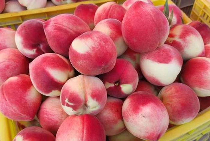 电商卖桃子平台、电商卖桃子平台怎么样 电商卖桃子平台、电商卖桃子平台怎么样