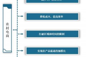 农村电商指的是什么（农村电商指的是什么行业）