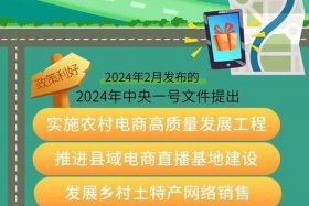 农村电商创业成功案例（农村电商创业者的故事）