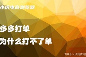 小虎电商浏览器下载，小虎电商浏览器下载不了