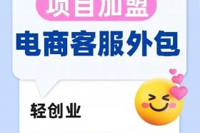 加盟电商平台哪个最好；加盟电商平台哪个最好做
