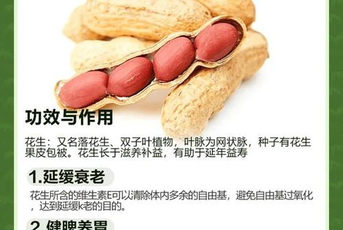 商花；商花33花生介绍