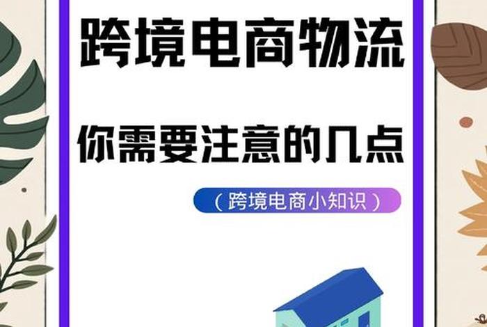 跨境电商抖音 - 跨境电商抖音有关物流方面ppt
