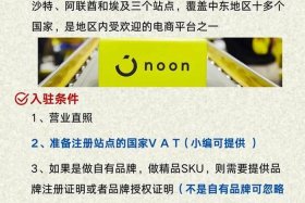 noon中东电商平台什么时候、noon中东电商平台什么时候开始的