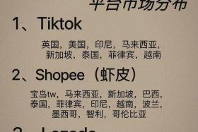 电商哪个平台roi高（电商选哪个平台）