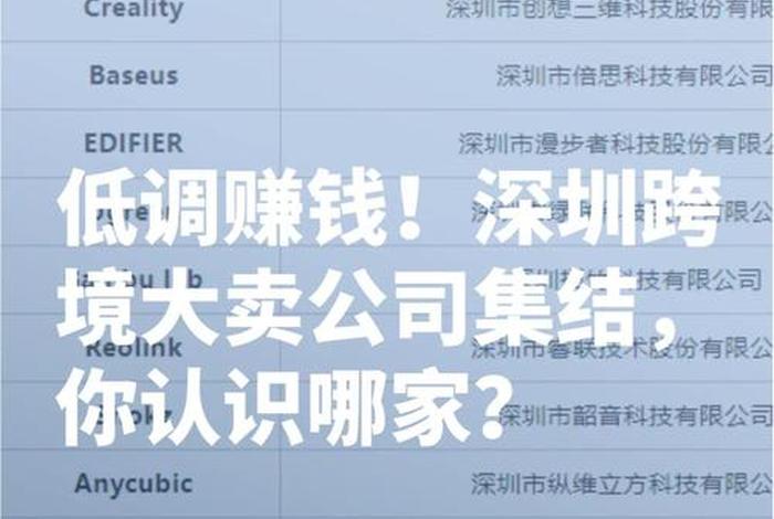 深圳跨境电商公司前100名单一览表(深圳跨境电商排名100公司) 深圳跨境电商公司前100名单一览表(深圳跨境电商排名100公司)